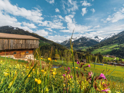 Alpbach Sommerlandschaft © Albachtal Tourismus