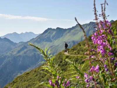 Wanderer am Panoramaweg wiedersbergerhorn mit Blickrichtung Sagtaler Spitzen. © Alpbachtal Tourismus/Grießenböck Gabriele