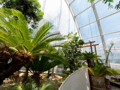 Botanischer Garten in Graz  © Graz Tourismus, Harry Schiffer