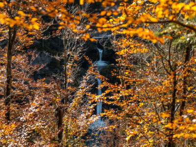 Herbst Allgaeu Buchenegger Wasserfälle