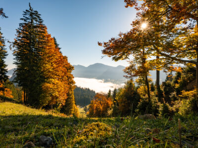Herbst Allgaeu Imberg