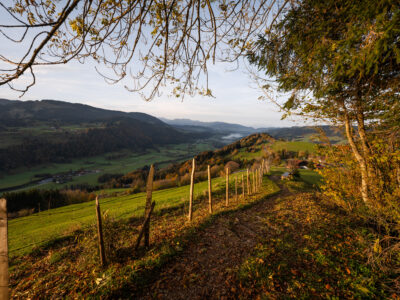Herbst Kapf Oberstaufen