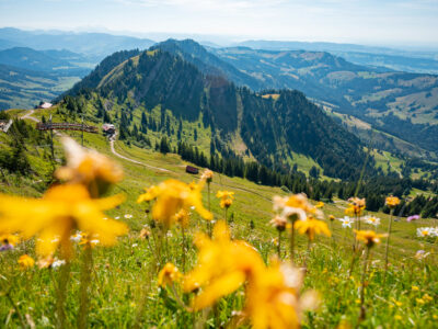 Sommer Allgaeu Hochgrat