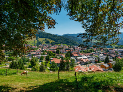 Sommer Allgaeu Oberstaufen