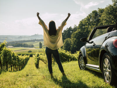 Weinberge der Vulkanland Route 66 © Bernhard Bergmann Weinberge der Vulkanland Route 66 © Bernhard Bergmann