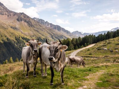 © TVB Tiroler Oberland Kaunertal, Severin Wegener