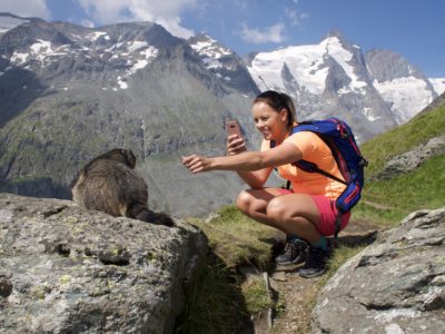 Murmeltiere auf der Josefs Höhe © Florian Plattner