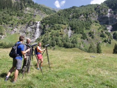 NPHT Ranger Wildtierbeobachtung Mallnitz (c) Florian Platter