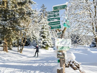 Langlauf-Paradies: Der Thüringer Wald bietet ein fast 1.400 Kilometer langes Langlauf-Streckennetz © Regionalverbund Thüringer Wald