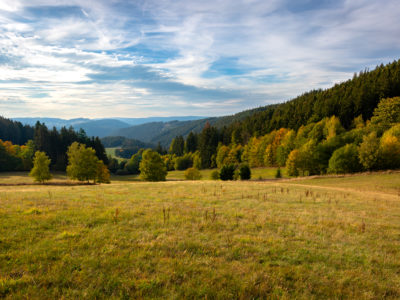 Was zu DDR-Zeiten ein bis zu 200 Meter breiter Grenzstreifen war, ist heute das Grüne Band, eine ökologische Schutzzone, in der zahlreiche seltene Tiere und Pflanzen leben. © Sven Lemnitzer