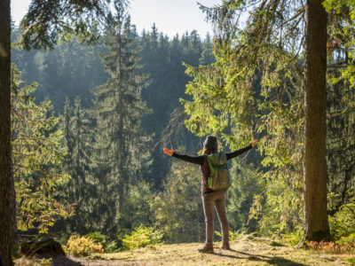 Geniesserpfad Waldpfad Groppertal © WTVS Villingen Schwenningen Geniesserpfad Waldpfad Groppertal © WTVS Villingen Schwenningen