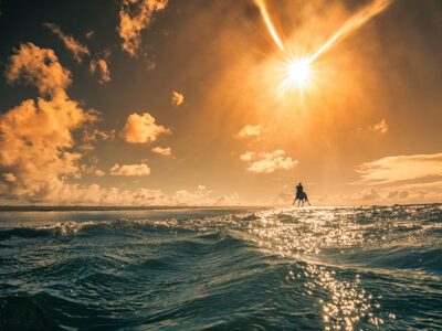 Ein Urlaub auf Borkum bietet nicht nur viel Spaß und Sport am Strand, sondern auch einzigartige Naturerlebnisse. © Constantin Ticu