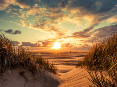 Ein Urlaub auf Borkum bietet nicht nur viel Spaß und Sport am Strand, sondern auch einzigartige Naturerlebnisse. © Constantin Ticu