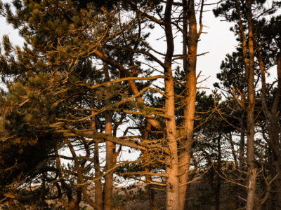 © Nordseebad Spiekeroog GmbH