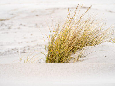 © Nordseebad Spiekeroog GmbH