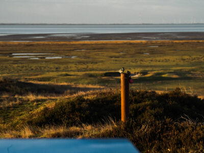 © Nordseebad Spiekeroog GmbH