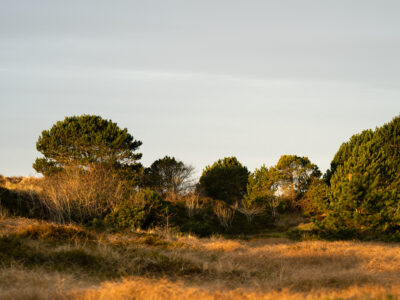 © Nordseebad Spiekeroog GmbH