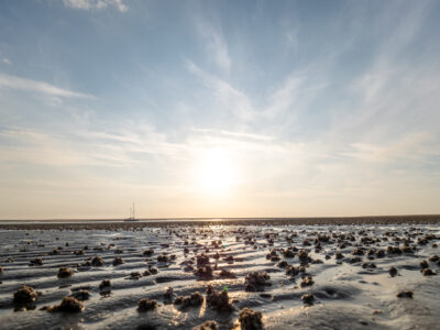 © Nordseebad Spiekeroog GmbH