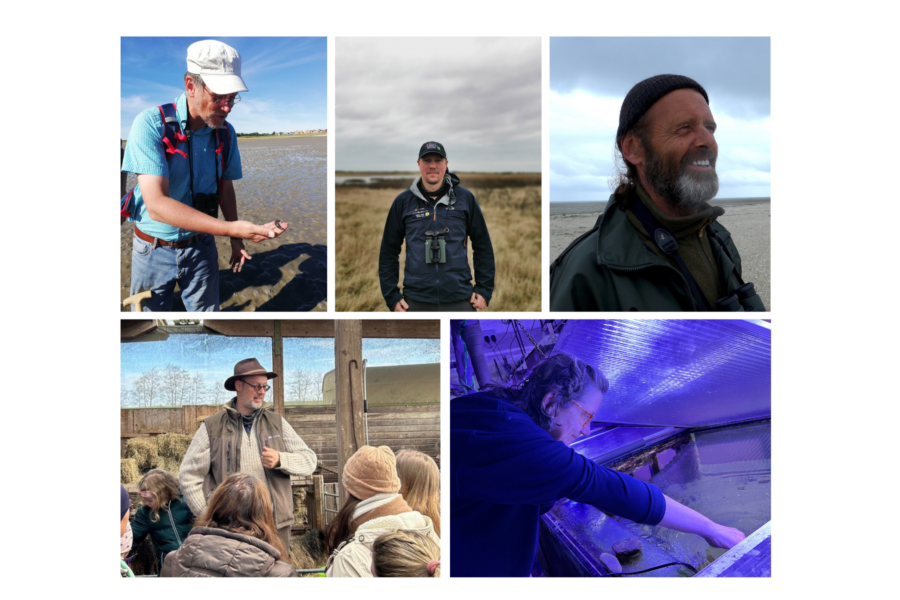 Von der Wattführung bis zum Vogelschutz: Fünf Insulaner die sich auf den Ostfriesischen Inseln für Tier- und Naturschutz einsetzen.