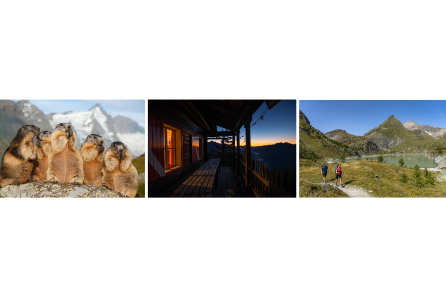 Zwischenüberschrift hinzufügen(89)