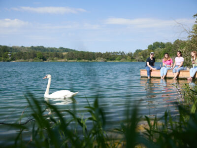 Erholungsgebiet Viernhofer See in St. Pölten. © Rupert Pessl Erholungsgebiet Viernhofer See in St. Pölten. © Rupert Pessl