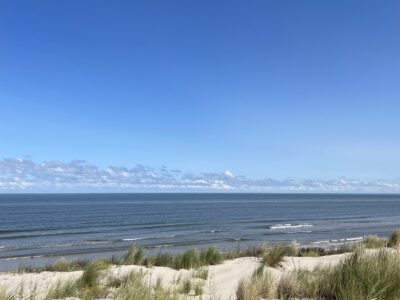 Die Dünen von Wangerooge. © Tourismus-Agentur Nordsee GmbH Die Dünen von Wangerooge. © Tourismus-Agentur Nordsee GmbH