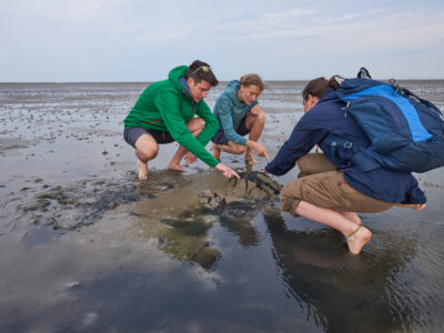Wattwanderung auf Wangerooge. © Kees van Surksum Wattwanderung auf Wangerooge. © Kees van Surksum
