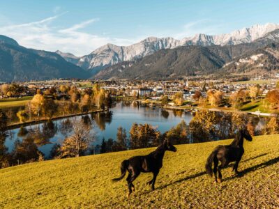 Herbst in Saalfelden (c) Michael Geißler Herbst in Saalfelden (c) Michael Geißler