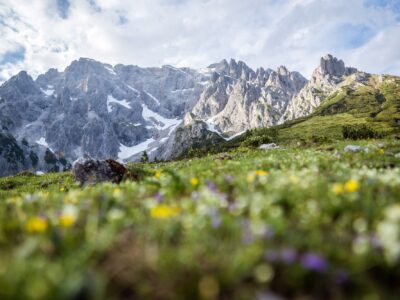 Landschaft und Bergpanorama. © Hochkönig Tourismus