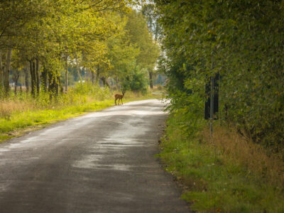 Wandern am Grünen Band: © Investitions - und Marketinggesellschaft Sachsen Anhalt mbH