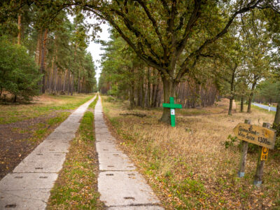 Wandern am Grünen Band: © Investitions - und Marketinggesellschaft Sachsen Anhalt mbH
