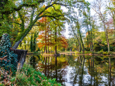 Schlosspark Krumke im Herbst. © Gartenträume Sachsen-Anhalt e. V., Fotograf Sven Runkel