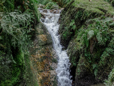Schöne Donauregion: Der Kneippweg in Bad Kreuzen © Tourismusverband Donau Oberösterreich, Sintwerk GmbH