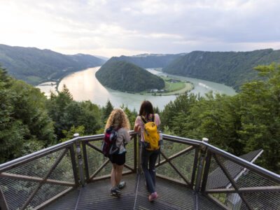 Eines der Highlights am Donausteig: die berühmte Donauschlinge. © Tourismusverband Donau Oberösterreich, Kuscheiart