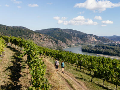 Welterbesteig Wachau auf dem Weg nach Dürnstein. © Donau Niederösterreich, Franziska Consolati