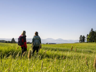 Welterbesteig Wachau am Jauerling. © Donau Niederösterreich, Robert Herbst