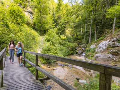Wolfsschlucht in Bad Kreuzen © Tourismusverband Donau Oberösterreich, Kuscheiart