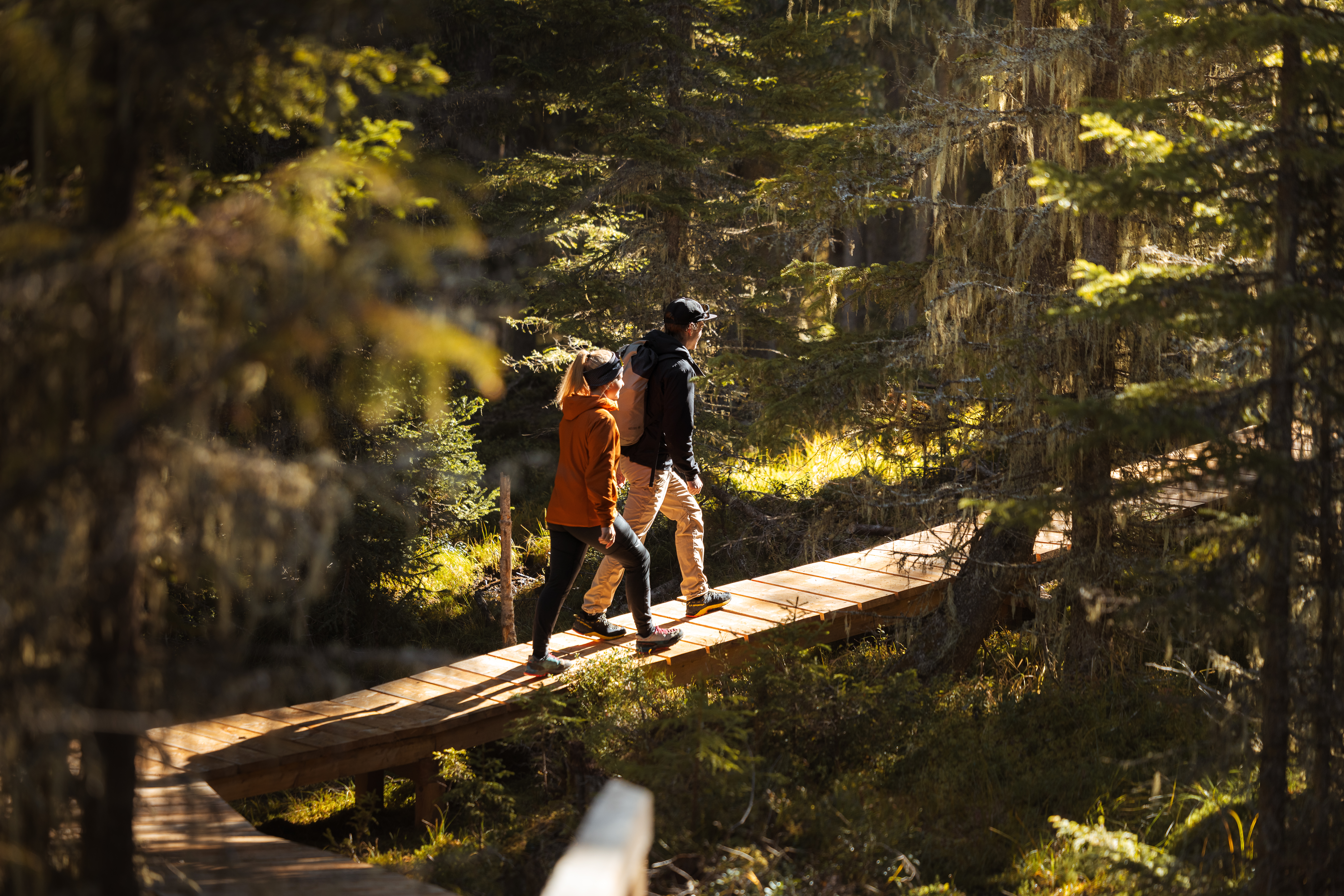 Der neue Wanderweg Hoch Moor Pfad durch die Naturdenkmäler Wildmoos I und Wildmoos II. © Roman Huber