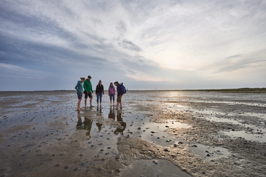Eine Wattführung gehört zum Pflichtprogramm für Nordsee-Urlauber: Auf den Ostfriesischen Inseln gibt es viele Varianten. © Kees van Surksum