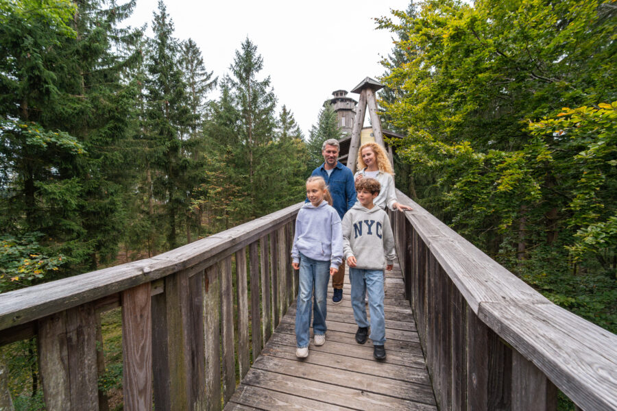 Der Baumkronenweg gehört jetzt zur WaldEntdeckerWelt. Es gibt viele Erlebnisstationen, neu ist unter anderem der Waldbodenweg. © WaldEntdeckerWelt