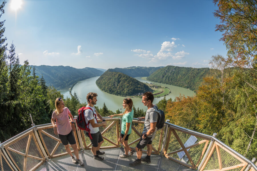 Eines der beliebtesten Wanderziele in der Donauregion Oberösterreich: die Aussichtsplattform mit Blick auf die Donauschlinge in Schlögen. © WGD Donau Oberösterreich Tourismus GmbH/Hochhauser